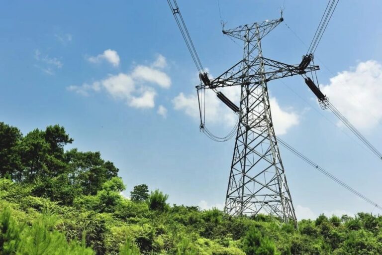 O aumento da demanda elétrica no Brasil exige leilões e baterias, com impacto direto nos custos ao consumidor.